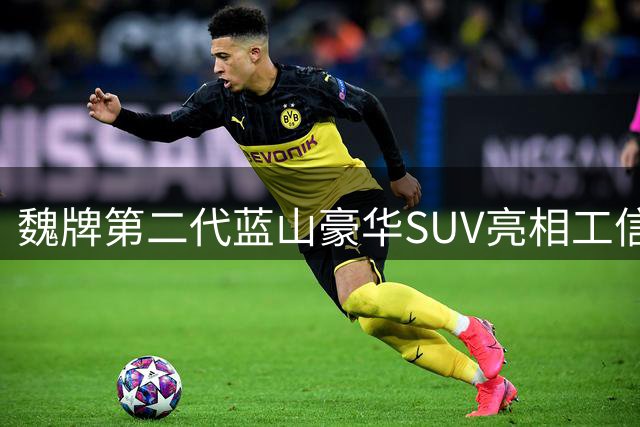 魏牌第二代蓝山豪华SUV亮相工信部